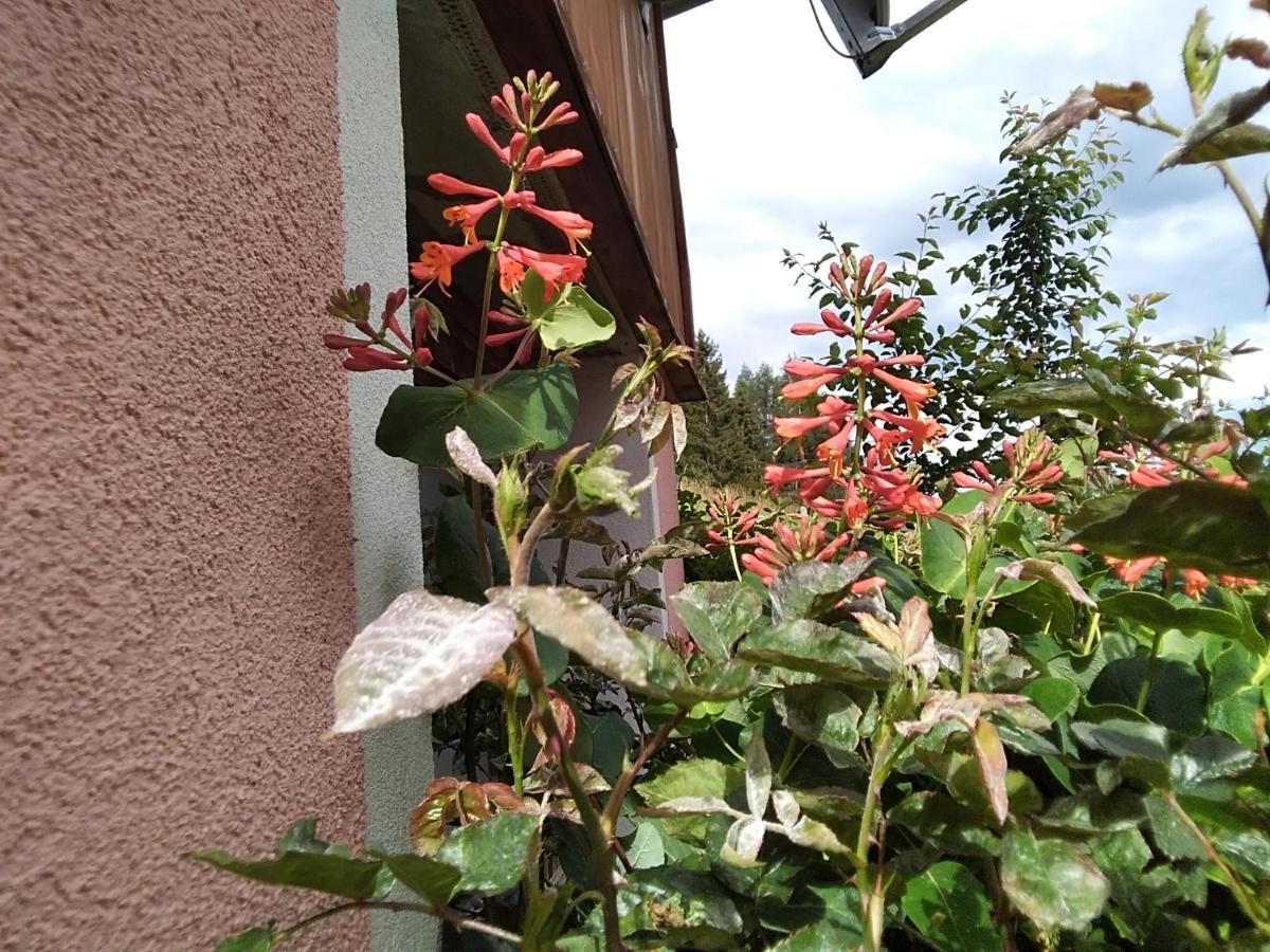 Gstoderblick *