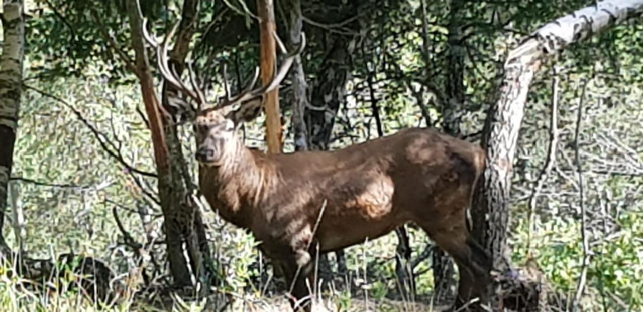 Séjour chez l'habitant Gstoderblick