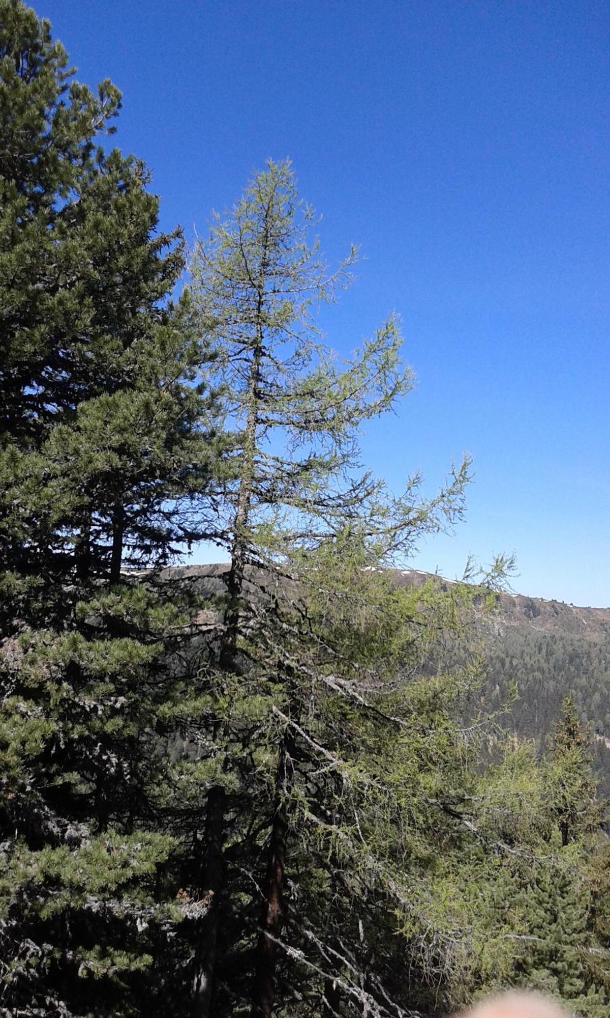 Gstoderblick Séjour chez l'habitant