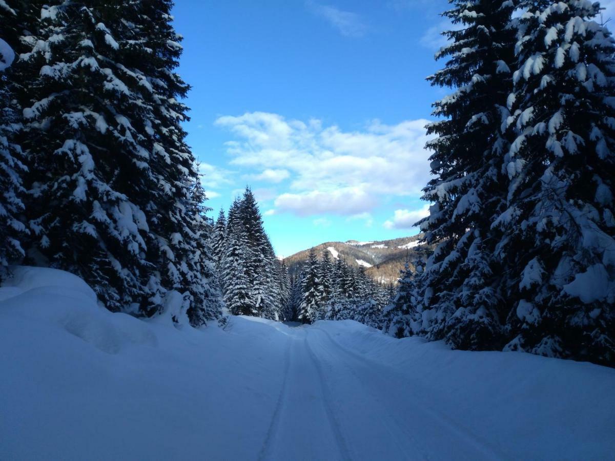 Gstoderblick Seebach (Styria)