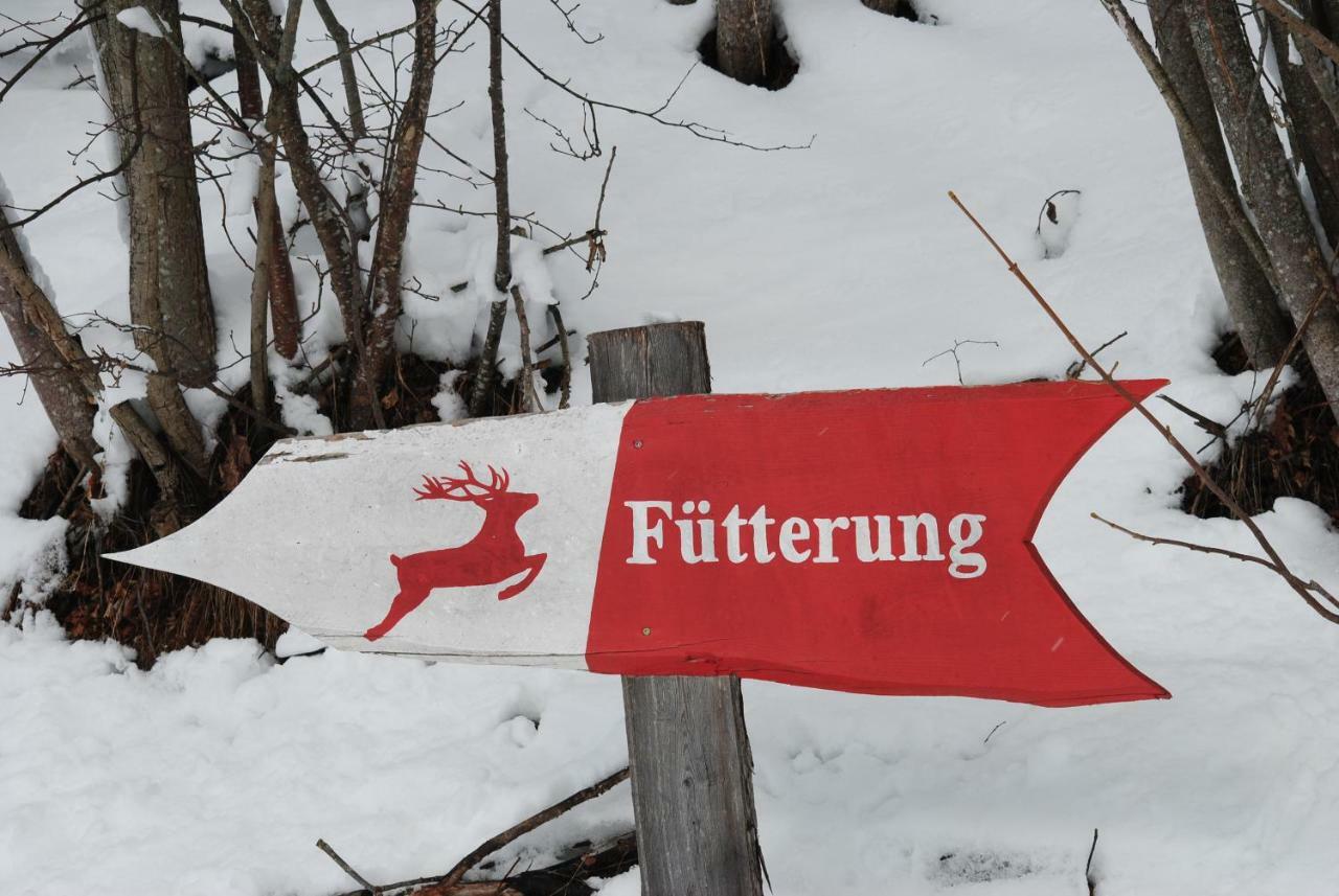 Gstoderblick